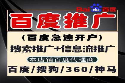 某公司通过百度竞价代理实现业绩翻倍的案例